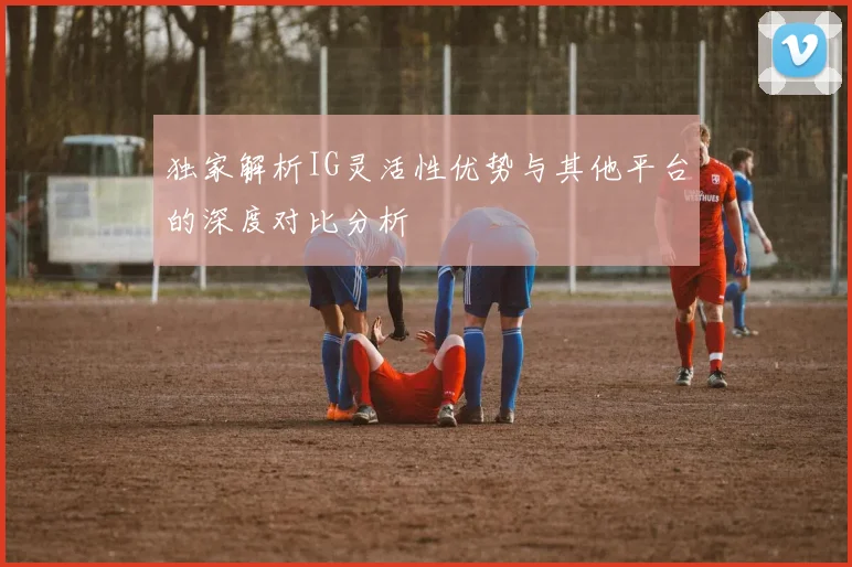 独家解析IG灵活性优势与其他平台的深度对比分析